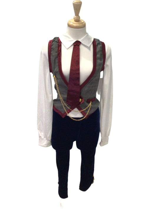 Alice in Wonderland Costume Mad Hatter
