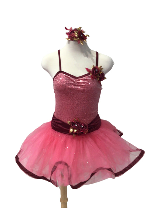 Pink and Maroon Tutu