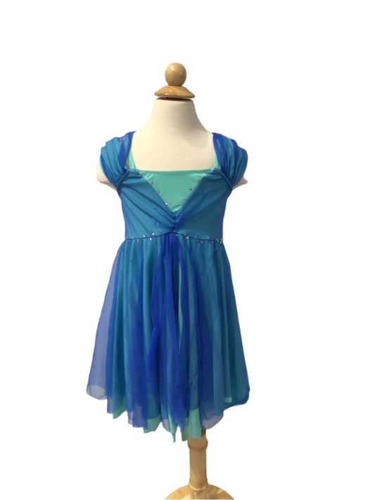 Light and Dark Blue Lyrical Dress