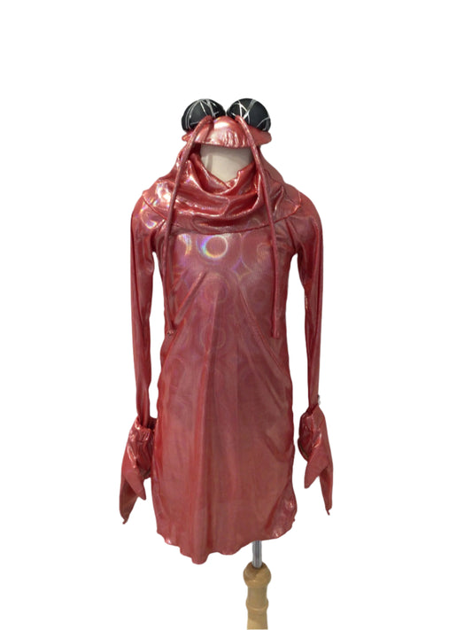 Lobster Costume