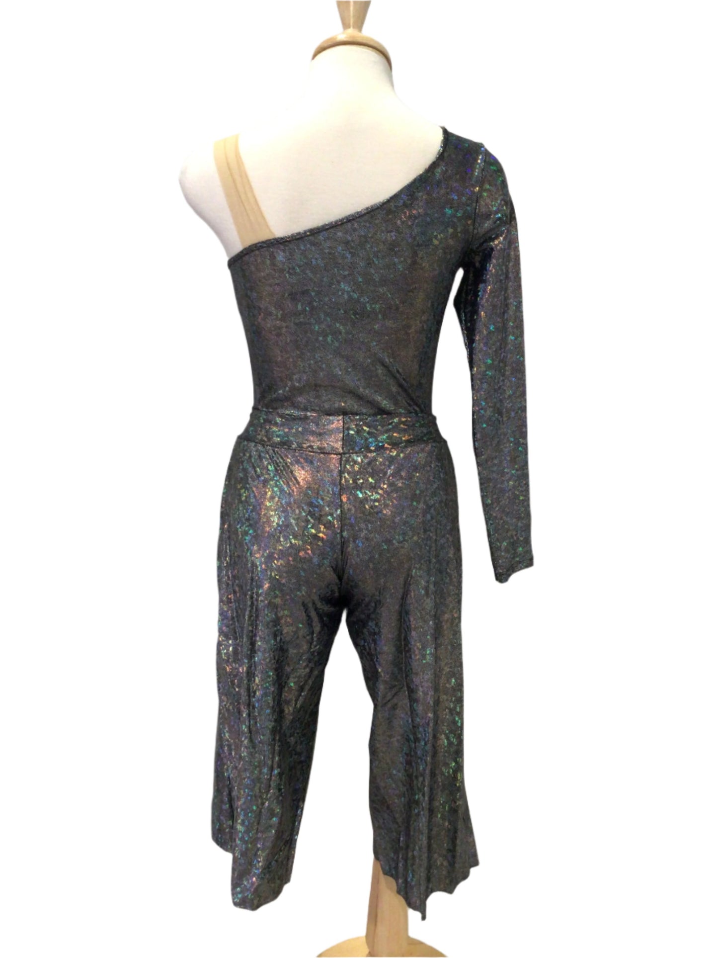 Iridescent Silver Bodysuit and Pants