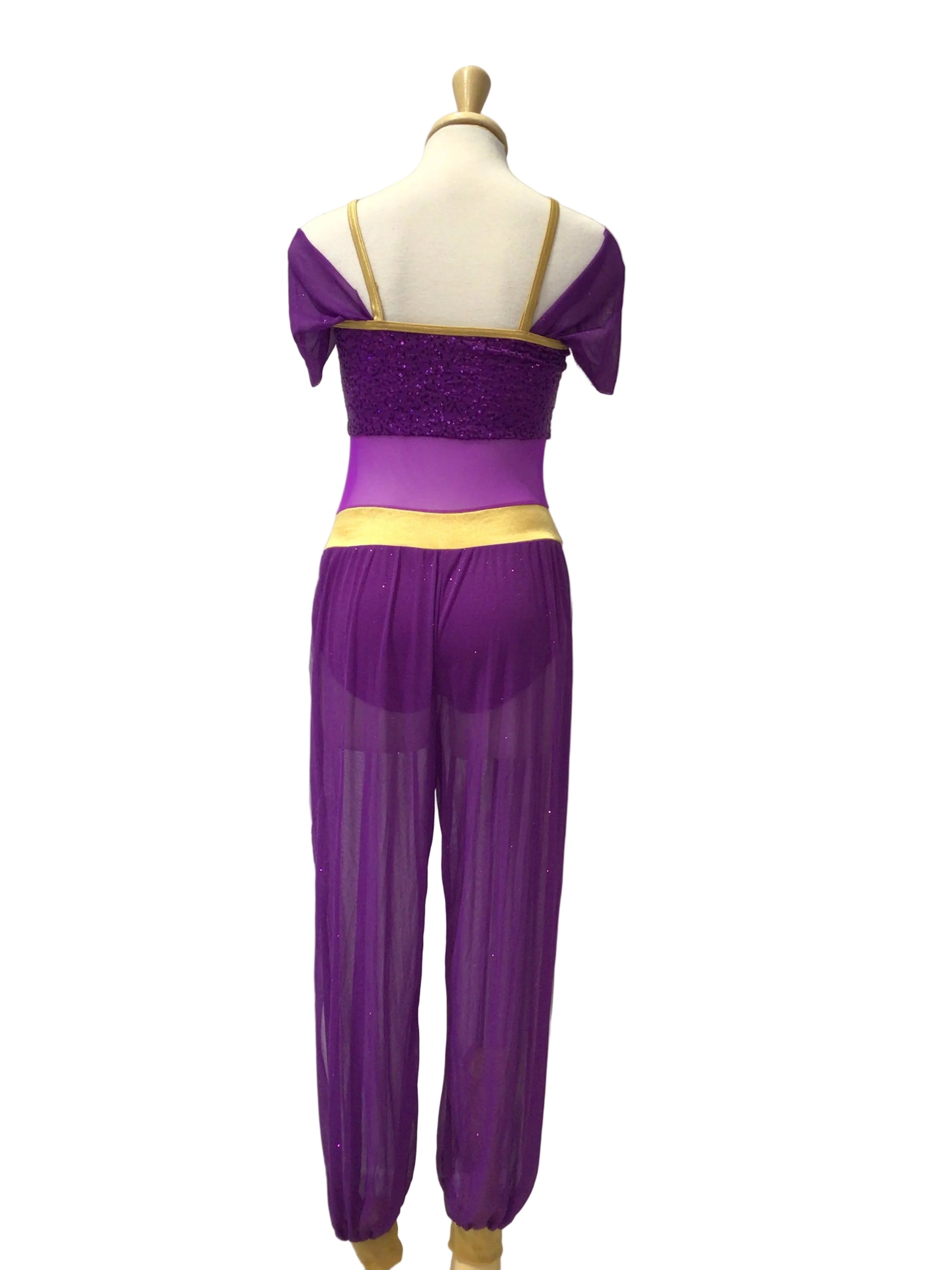 Purple and gold costume set displayed on a mannequin torso against a white paneled wall. The set includes a short purple top with gold trim, a matching purple waist section, and long pleated purple pants with gold cuffs.